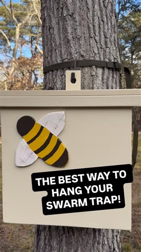 SWARM TRAP HANGER - BEE NAIL FREE IN 2026 - HANG YOUR SWARM TRAP IN SECONDS! https://www.amazon.com/dp/B084DCN66R - #beekeepers #swarmtrapping #swarmtrap #swarmseason #beekeepersofinstagram | SWARM TRAP Hanger