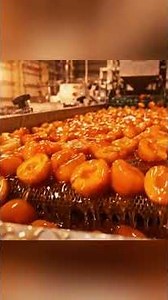 🍑 Inside a Mega Peach Factory | How Fresh Jumbo Peaches Become Perfectly Packed at Massive Scale ✨