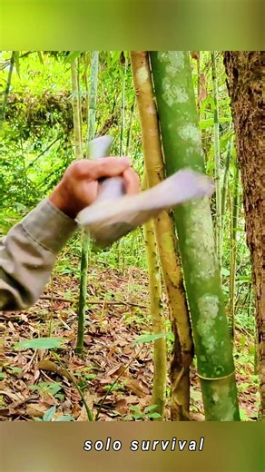 Essential Bushcraft Skills for Off-Grid Survival