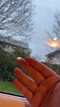 Window Tapping 💤 #asmr #relax #triggersforsleep #asmrtriggers #tapping #asmrsounds #relaxingasmr