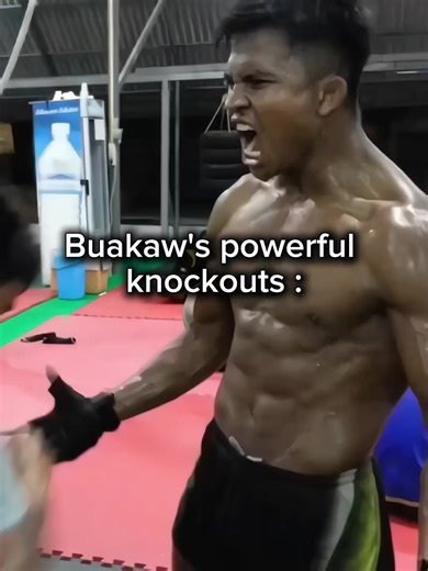 Buakaw's Most Impressive Knockouts in Muay Thai