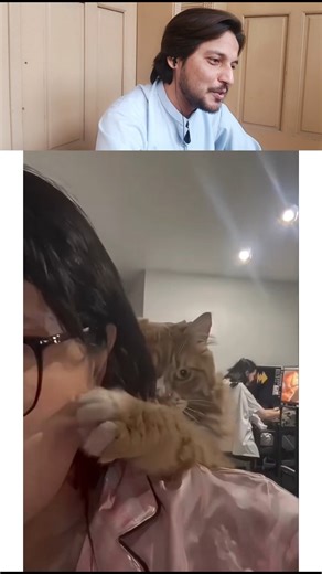 UMAIR YOUSAF | What The Punk 😱💘 #reelsinstagram #viral #trending #entertainment #reels #trendingreels #trend #funny #respect #reeitfeelit #cats #cat #ai #😂 | Instagram