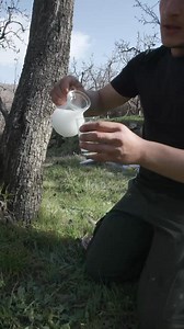 336K views · 4.9K reactions | كبة نيّة Kibbeh Nayyeh This is the foundation of Kibbeh, hundreds of years old; it’s basically beaten raw meat, and then people started to add flavors to it like burghul, olive oil, spices, onions, chili… But onions and olive oil are highly recommended so you can the full experience. | Simon Yammine | Facebook