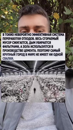 Відео користувача ⠀ (@vllladion) з композицією «MARCELINE - Lil God Dan»