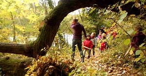 La magie du saule tressé... dans votre jardin?