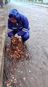 Collect trash and debris from clogged drains to open up waterways immediately #unclogged #unclog