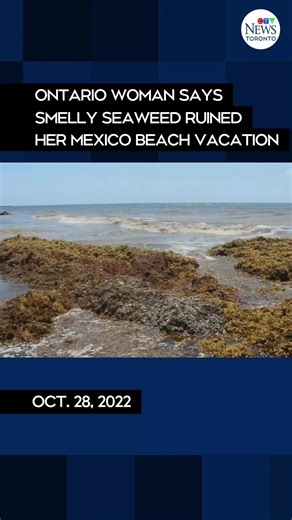 ctvnewstoronto (@ctvnewstoronto)’s videos with original sound - ctvnewstoronto