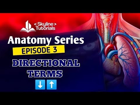 ANATOMY SERIES: EPISODE 3; DIRECTIONAL TERMS