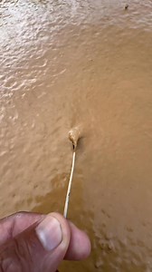 79K views · 1.1K reactions | Gold mine : asmr satisfying relaxation gold mining | Amrin Prospecting | Facebook