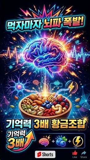 호두 아몬드 아닙니다! 의사가 추천하는 치매 예방 1등 견과류