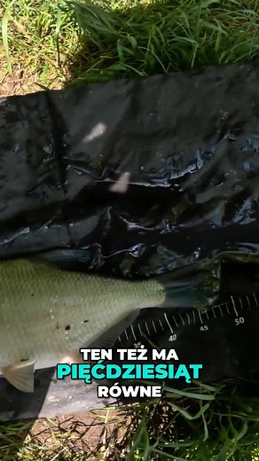 50K views · 495 reactions | próbowaliście tak? | Gradu Fishing | Facebook