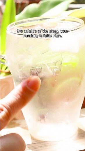 Check humidity level for your plants at home #plants #houseplants #plantcare #humidity