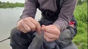 17K views · 727 reactions | If you're into your bream fishing, Rob Wootton's cage feeder rig is both effective and super easy to tie. | Dynamite Baits - Match & Coarse | Facebook