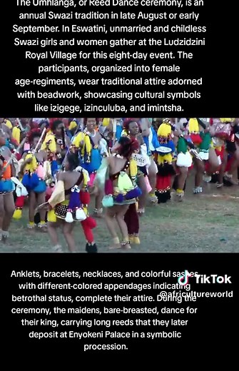 The Umhlanga, or Reed Dance ceremony, is an annual Swazi tradition in late August or early September. In Eswatini, unmarried and childless Swazi girls and women gather at the Ludzidzini Royal Village for this eight-day event. The participants, organized into female age-regiments, wear traditional attire adorned with beadwork, showcasing cultural symbols like izigege, izinculuba, and imintsha. Anklets, bracelets, necklaces, and colorful sashes, with different-colored appendages indicating betroth
