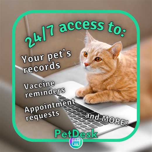 👉 Download your pet's care and health with our FREE and easy-to-use app: download.petdesk.com You can download our app to your smartphone and have it link directly to our systems. All of its features are completely free to you for being a valued client. ☺️ Once you download the app, create an account with the email address we have on file for you. The app will sync your information overnight, so don’t be worried if you don’t see your pet’s history right away, it’ll be there in the morning! | Ky