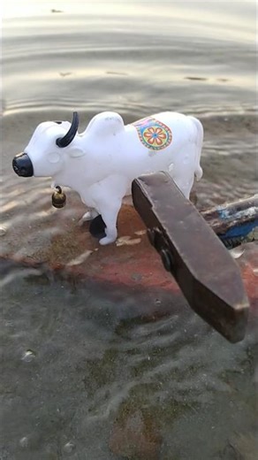 Rc pool water cow toy testing