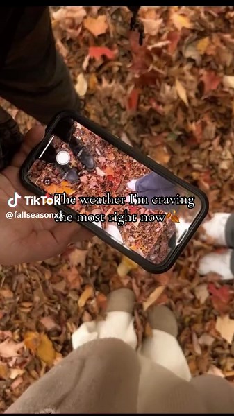fallseasonxx on TikTok