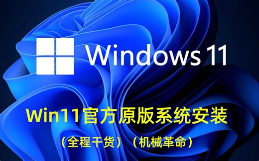 【干货】WIN11系统安装重装教程、全程干货13分钟搞定，小白也能自己重装系统！超详细解说~