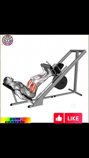 Gym centrale on Reels