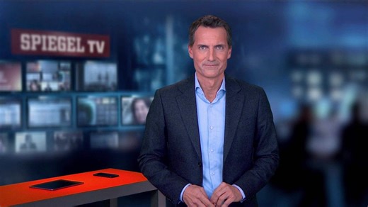 Problemfeld Integration / Private Gangsterjagd