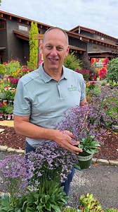 232K views · 624 reactions | Add some razzle dazzle to your garden...