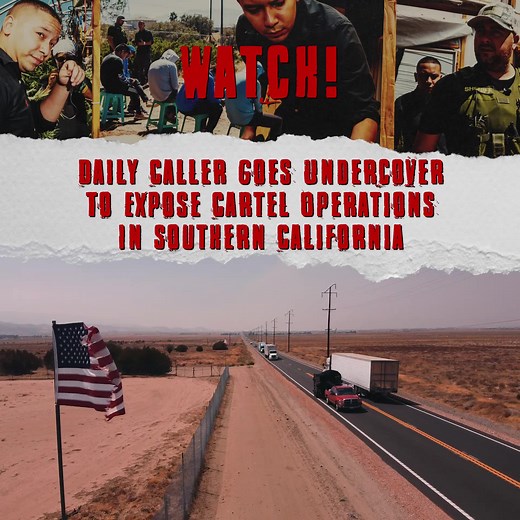 3.8K reactions · 3K shares | A Daily Caller undercover investigation...