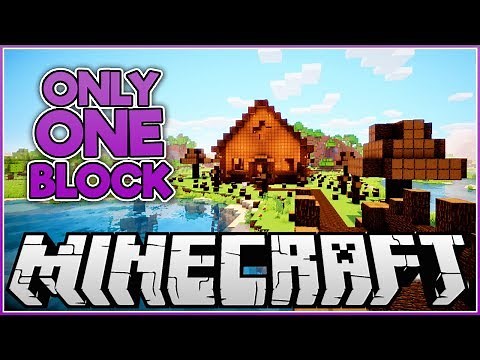 ONE block Only Minecraft Building Challenge!