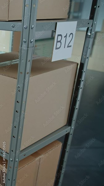 Sorting Facility, Storage of Online Store with E-Commerce Orders, Goods in Cardboard Boxes and Packages on Shelves. Warehouse Retail Center for Delivery Service. Logistics. High Angle. Vertical Shot.