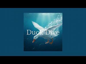 Animal Dish - Duck Dive / full song