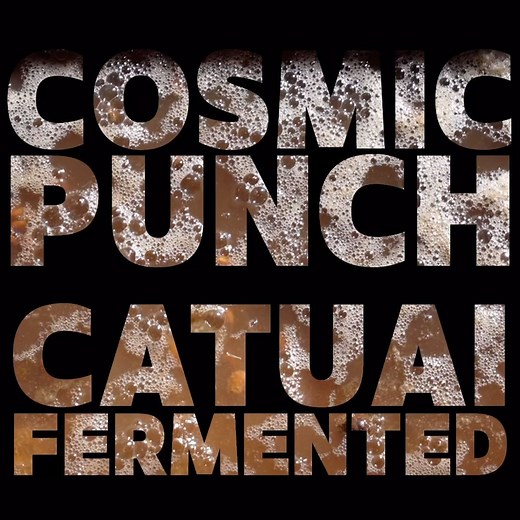 New Release Day! Experimentation is part of our ethos, pushing boundaries and expanding horizons on how the world drinks coffee. Executing experiments with fermentation requires both accurate measurements and imagination on what will work. This year we introduced a secondary yeast, B-Nature, to control the microbes and yeasts found on the cherries or surroundings and promote the health of the intended yeast, in this case, Cosmic Punch. This process allows the Cosmic Punch to take over, feeding o