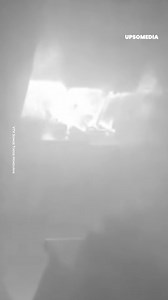 A security camera captured the moment when a dog, unintentionally, activated the stove and caused a fire. | The Enigma