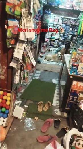 meri shop me Dog 🐕 #viral #shop #shorts #vlogs #trend #dog #trend