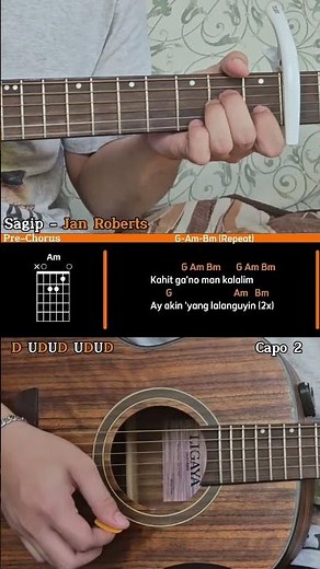 Sagip - Jan Roberts Easy Version Guitar Tutorial #easy #guitartutorial #sagip #janroberts
