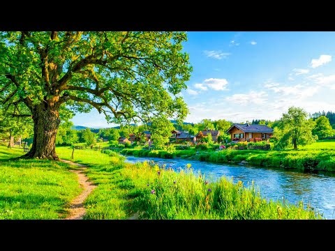 Calming music for nerves 🌿 healing music for heart and blood vessels, relaxation, music for soul #2