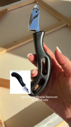 Stapel Remover