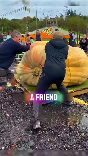 He Cut Open a Giant Pumpkin… What Was Inside Shouldn’t Exist 😳