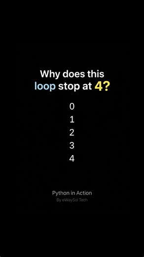 Python in Action #01 - Why This Loop Stops Early