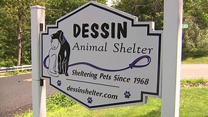 Dessin Animal Shelter receives surprise donation of $400K