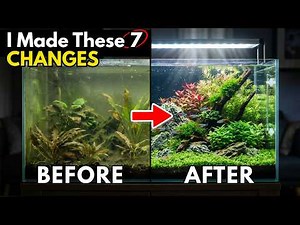 7 Simple Adjustments to Transform Your Planted Aquarium (Crystal Water)
