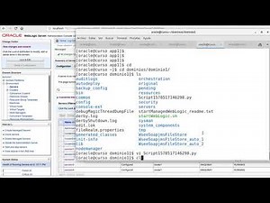 Curso Oracle Weblogic 12c desde cero: 54-Grabar una sesción de wlst
