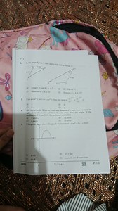 Question 6In the given figure,  \triangle ABC  and  \triangle ... | Filo