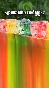 First Color Ever Used by Humans