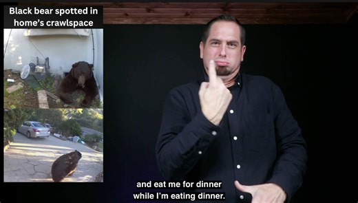 Black bear spotted in home’s crawlspace --> Download "The Daily Moth" app on the App Store / Google Play --> Check out the TWA Dictionary: https://twadictionary.com | The Daily Moth