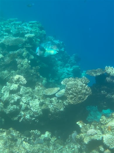 Jason McCoy on Reels | Facebook