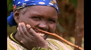 In this excerpt from the 2001 Soka Gakkai International (SGI) film "A Quiet Revolution", Professor Maathai expounds on the idea behind starting the Green Belt Movement. She talks about working with rural communities "foresters without diplomas" who often bear the greatest brunt of environmental degradation. | The Green Belt Movement
