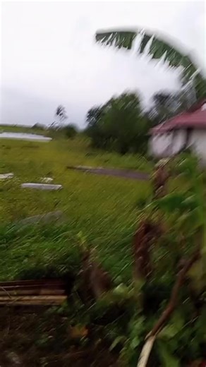 Musibah Puting Beliung di Sungai Tabuk