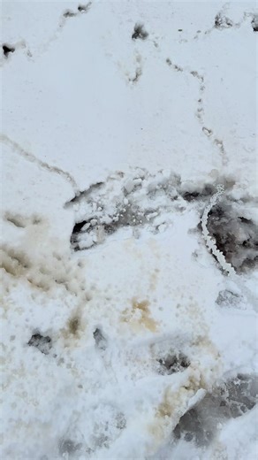 Clearing Snow with Water: An Innovative Approach