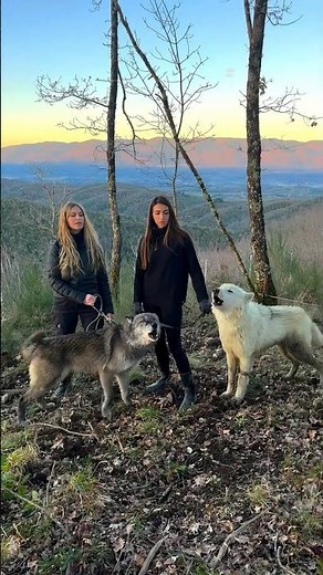 Wolf Girls howl with Wolves in the Apennines Mountains Italy ~ #wolfhowl #wolf #wolfgirl