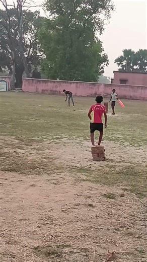 Village cricket team
