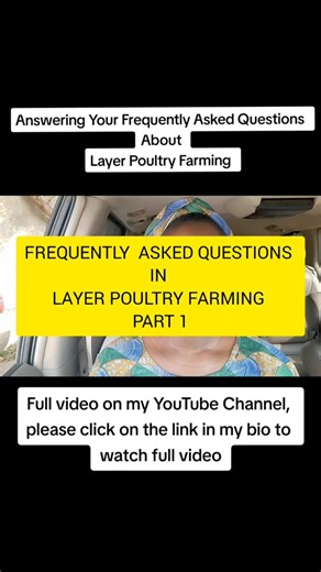 Frequently Asked Questions About layer poultry farming in this video, I answered 2 of the questions that are Frequently asked about layer Poultry farming , is layer Poultry Farming profitable should I buy point of layer chickens or day old chicken when starting a layer Poultry farm I answered this questions based off my our experience in the business and I hope you learn from them too . #layerpoultryfarm #layerpoultryfarming #poultryfarming #demure #femalepoultryfarmer #poultryfarmer #poultryoft